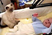 手足をバタバタと動かす赤ちゃんに手を添えてちゃんとケアしてます!