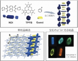 今回の研究の概念を示す図(九州大学の発表資料より) 今回の研究の概念を示す図(九州大学の発表資料より)