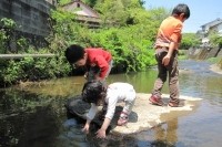 日本には古来より、様々な涼のとり方がある。うちわや風鈴、打ち水、金魚を飼うというのも、目から涼しさを感じるための生活の知恵だ。