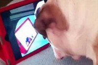 見ている動画も自分だったりするんですが…笑