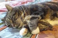 お母さんが添い寝をしながらうっかり寝ちゃう…みたいな感じですね。