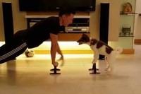 これならトレーニングをするのも楽しいですね!