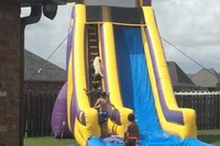 わんこだって滑り台のプールが大好き!子どもに負けず大はしゃぎ!