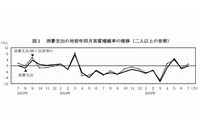 消費支出（二人以上の世帯）の対前年同月実質増減率の推移を示す図（総務省の発表資料より）