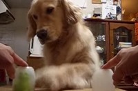 見えてるのに!?わざと!?もうこのおとぼけ加減がたまりません!