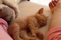 そっと腕枕の腕を外します!一瞬起きそうになり緊張がはしります～