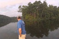 仔猫がボートに向かって泳いできます。