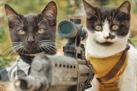 もうすぐハロウィン～とばかりにこんなのはいかがでしょう!?