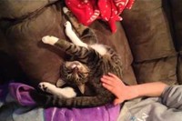 体がどのように曲がってこうなっているのかもパッと見わからない!