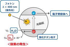 酸化チタンの光触媒反応の概要を示す図。水、酸化チタン、電子受容体、紫外線の4つがそろうと、非生物学的に酸素が発生することが知られている。(自然科学研究機構の発表資料より) 酸化チタンの光触媒反応の概要を示す図。水、酸化チタン、電子受容体、紫外線の4つがそろうと、非生物学的に酸素が発生することが知られている。(自然科学研究機構の発表資料より)