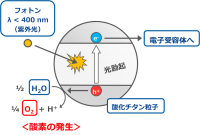 酸化チタンの光触媒反応の概要を示す図。水、酸化チタン、電子受容体、紫外線の4つがそろうと、非生物学的に酸素が発生することが知られている。（自然科学研究機構の発表資料より）