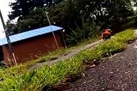 あ～現実はそんなもんですよね。