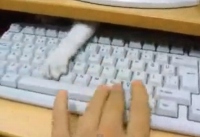 キーボードをたたきだすと、突然手がニュ～っとでてきます!