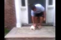 階段には躊躇したもののなぜかダイブをする勇気をみせるわんこ!