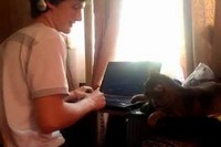 パソコンの前に座りマウスに触ろうとするとパシッ!と叱られます!