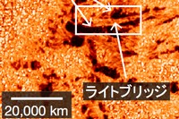 （左）「ひので」による形成中の黒点の観測。合体しつつある小黒点（暗い部分）の間に「ライトブリッジ」と呼ばれる明るく細長い構造が現れている。（右）黒点形成シミュレーションの結果。観測とよく似たライトブリッジが小黒点の間に形成されている。（国立天文台/JAXA/LMSAL/NASA） 