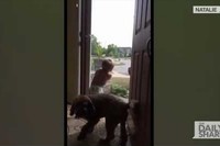 お父さんの帰宅をお母さんが告げると、赤ちゃんとわんこは大興奮です。