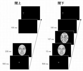 今回の研究で実施した課題のイメージ。閾下呈示では、意識的には見えないほどの短時間だけ、被験者に視線が呈示された。（京都大学の発表資料より）