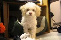 一瞬フリーズ。