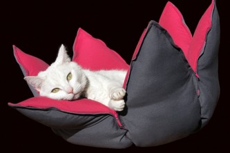 『ネルンボ・neloombo』（グッドハウス発表資料より）