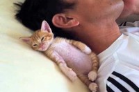 一瞬ぬいぐるみ!?と見間違うほどのかわいさです。