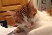 眠っちゃだめ、眠るもんか～!と思えば思うほどいい気持なんですよね。