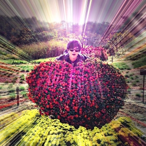 SUPER JUNIORのイェソンが、ツイッターを通じてファンに特別なハートをプレゼントした。写真:イェソンのツイッター SUPER JUNIORのイェソンが、ツイッターを通じてファンに特別なハートをプレゼントした。写真:イェソンのツイッター