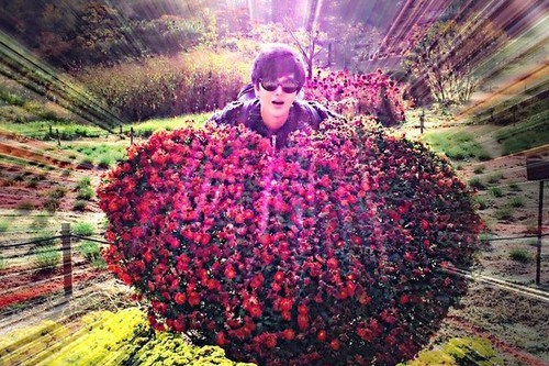 SUPER JUNIORのイェソンが、ツイッターを通じてファンに特別なハートをプレゼントした。写真：イェソンのツイッター