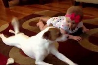 もう赤ちゃんに一生懸命教えている様子が何とも言えません!