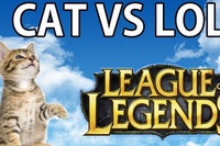 子猫を前にネトゲーをしたらこんな風になりますという見本です。