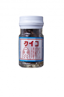 虫の缶詰（アシストバルール発表資料より）