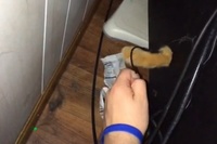 確かにこれは猫には最適のお仕事です!