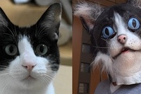 赤ちゃん、飼い主の弟、そして覆面飼い主!さてその結果はいかに?