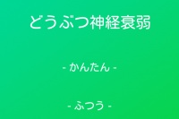 可愛いトランプで神経衰弱だ！ - Android アプリ 「どうぶつ神経衰弱」