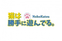 可愛い猫と戯れようぜ！ - iPhone アプリ 「ねこかつ。猫は勝手に遊んでる。ネコと暮らす猫アプリ」