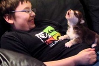 少年のお腹の上で、鳴き声をまねする健気な赤ちゃんわんこ。