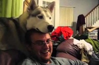 くつろぐ時だって同じ目線でいたい!わんこの気持ち。