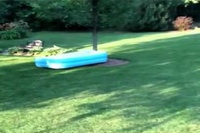 プールに隠れた子供たちでしたが、賢いわんこにやられました!