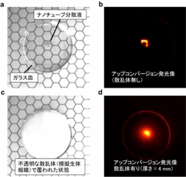 (a)透明なガラス皿の底に敷き詰めた樹脂中に、封じ込めて配置されたカーボンナノチューブ分散溶液(ガラス皿中心部)の写真。(b)同じ試料のアップコンバージョン発光画像。(c)生体組織を模した光散乱体で覆われたガラス皿の写真。(d)光散乱体(厚さ4ミリメートル)の後ろに置かれたカーボンナノチューブ分散液のアップコンバージョン発光画像。(京都大学の発表資料より) (a)透明なガラス皿の底に敷き詰めた樹脂中に、封じ込めて配置されたカーボンナノチューブ分散溶液(ガラス皿中心部)の写真。(b)同じ試料のアップコンバージョン発光画像。(c)生体組織を模した光散乱体で覆われたガラス皿の写真。(d)光散乱体(厚さ4ミリメートル)の後ろに置かれたカーボンナノチューブ分散液のアップコンバージョン発光画像。(京都大学の発表資料より)