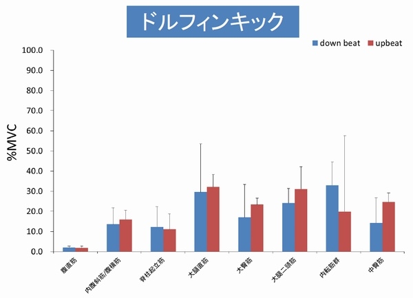 ドルフィンキック中の各筋肉群の活動状況を示す図。従来は大腿直筋と大腿二頭筋が主導筋と考えられていたが、実際には蹴りおろし時に内転筋群の筋活動も活発で、ドルフィンキックの泳速度を上げるためには、内転筋群の関与が重要であることが示唆された。（筑波大学の発表資料より）