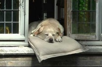 動画を最後まで見ると納得の理由が明らかになります!