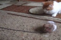 えっ?何やってんだ??という気持ちが表情によく出ています！笑。