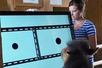 円の大きさの弁別課題を行っているウマの「ポニョ」と共同研究者のフローリン・カミュ氏。（京都大学の発表資料より）