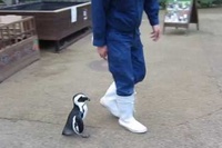 飼育員さんから離れたくないさくらちゃんが可愛すぎる!!