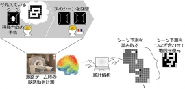 今回の研究の概要を示す図(京都大学の発表資料より) 今回の研究の概要を示す図(京都大学の発表資料より)