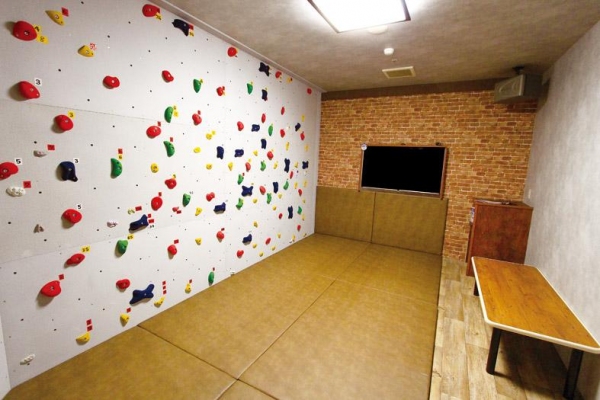 ボルカラ（東愛産業発表資料より）