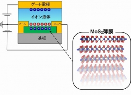 MoS2薄膜をトランジスタのチャネルに用いた電気二重層トランジスタ(EDLT)のデバイス構造。今回の研究で用いたMoS2薄膜の厚さは約20ナノメートル(nm)。正の電圧を加えることでMoS2の表面(原子層1層分の厚さ)にのみ電子が蓄積する。(東京大学などの発表資料より) MoS2薄膜をトランジスタのチャネルに用いた電気二重層トランジスタ(EDLT)のデバイス構造。今回の研究で用いたMoS2薄膜の厚さは約20ナノメートル(nm)。正の電圧を加えることでMoS2の表面(原子層1層分の厚さ)にのみ電子が蓄積する。(東京大学などの発表資料より)