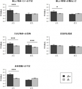扱いやすさ得点とHTR1A遺伝子型の関連を示す図。縦軸は馴致(乗り馴らし)難易度で、得点が高ければ扱いにくいことを意味している(京都大学の発表資料より) 扱いやすさ得点とHTR1A遺伝子型の関連を示す図。縦軸は馴致(乗り馴らし)難易度で、得点が高ければ扱いにくいことを意味している(京都大学の発表資料より)