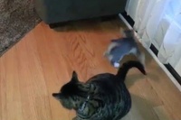 ソファーの下の使いこなし度が半端ない！