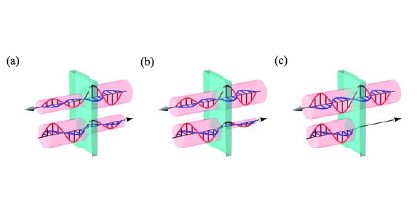 物質中を互いに逆向きに進む一対の光の模式図。物質は直方体で表されており、黒い矢印の方向に光は進んでいる。青い波と赤い波はそれぞれ電気の波と磁気の波を示す。薄桃色の円筒は、光の強さを定性的に表している。 (a)は通常の物質を逆向きに進む一対の光。 (b)は方向二色性。左向きに進む光の吸収は小さく、右向きに進む光の吸収が大きい。(c) 一方向透明現象。左向きに進む光にとっては透明だが、右向きに進む光は強く吸収されている。(東京大学の発表資料より) 物質中を互いに逆向きに進む一対の光の模式図。物質は直方体で表されており、黒い矢印の方向に光は進んでいる。青い波と赤い波はそれぞれ電気の波と磁気の波を示す。薄桃色の円筒は、光の強さを定性的に表している。 (a)は通常の物質を逆向きに進む一対の光。 (b)は方向二色性。左向きに進む光の吸収は小さく、右向きに進む光の吸収が大きい。(c) 一方向透明現象。左向きに進む光にとっては透明だが、右向きに進む光は強く吸収されている。(東京大学の発表資料より)